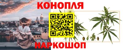 соль ск Обь