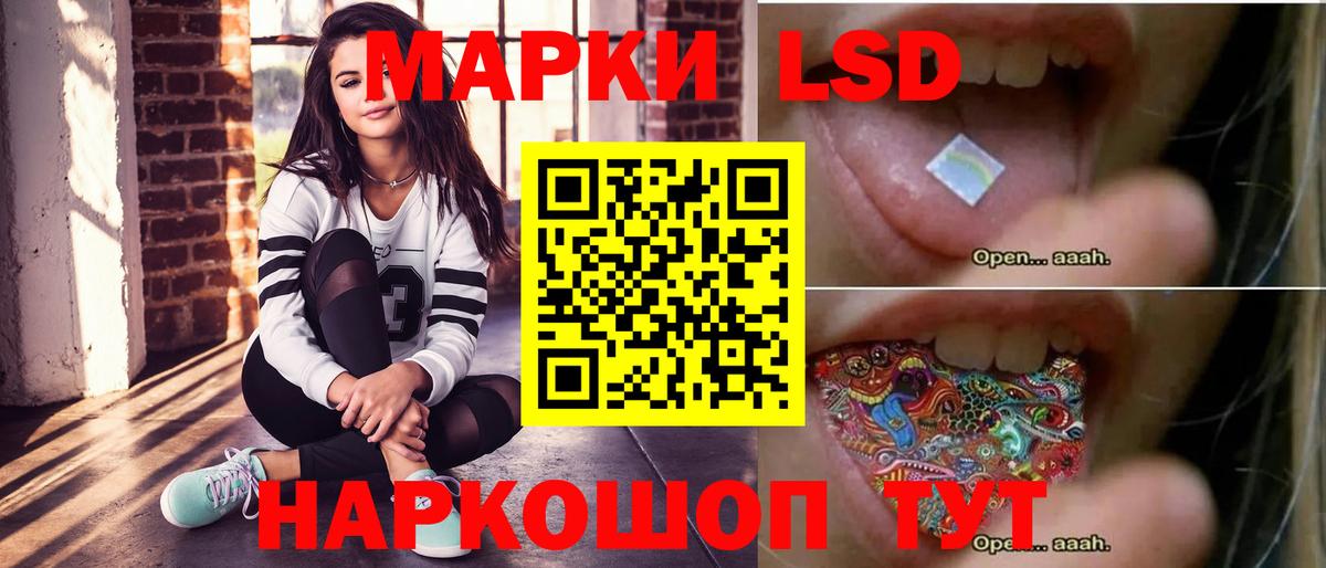 Новозыбков  ОМГ ОМГ как зайти  ЛСД экстази кислота  Вход с VPN  ЛСД экстази кислота 