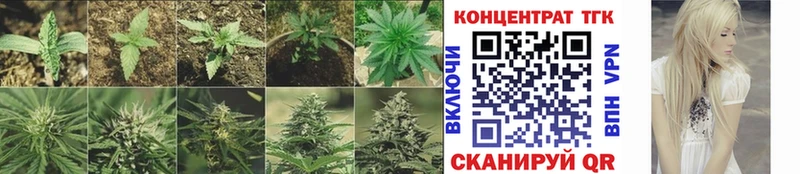 ТГК THC oil Новозыбков