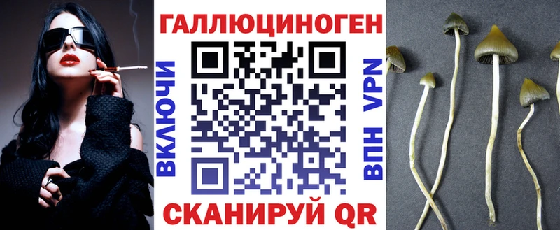 Галлюциногенные грибы MAGIC MUSHROOMS Новозыбков
