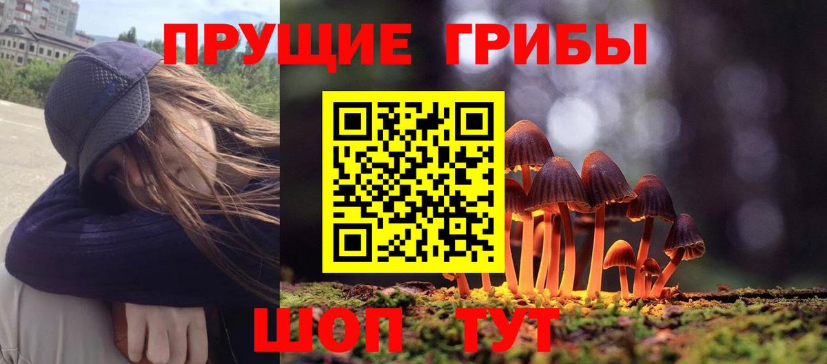 Псилоцибиновые грибы Magic Shrooms Новозыбков