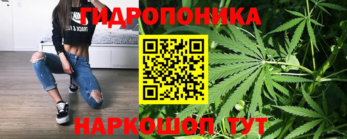 Марихуана Bruce Banner  Каннабис сатива  Новозыбков  Вход с VPN  Каннабис VHQ  Бошки Шишки White Widow 
